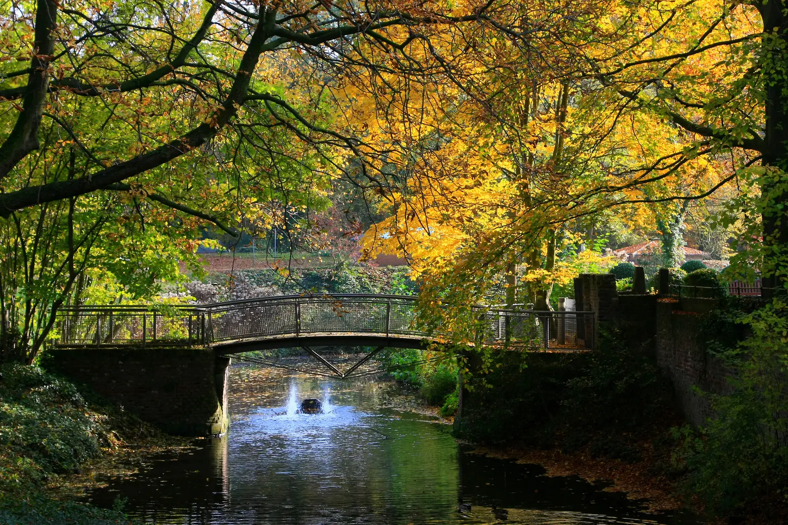 Eine kleine Fußgängerbrücke führt über einen ruhigen Fluss, der von Bäumen mit grünem und gelbem Herbstlaub umgeben ist, und bietet eine idyllische Kulisse in der Nähe von Mönchengladbach – ein Umfeld, in dem regelmäßige Betriebsmittelprüfungen die Sicherheit und Zuverlässigkeit der lokalen Infrastruktur gewährleisten.