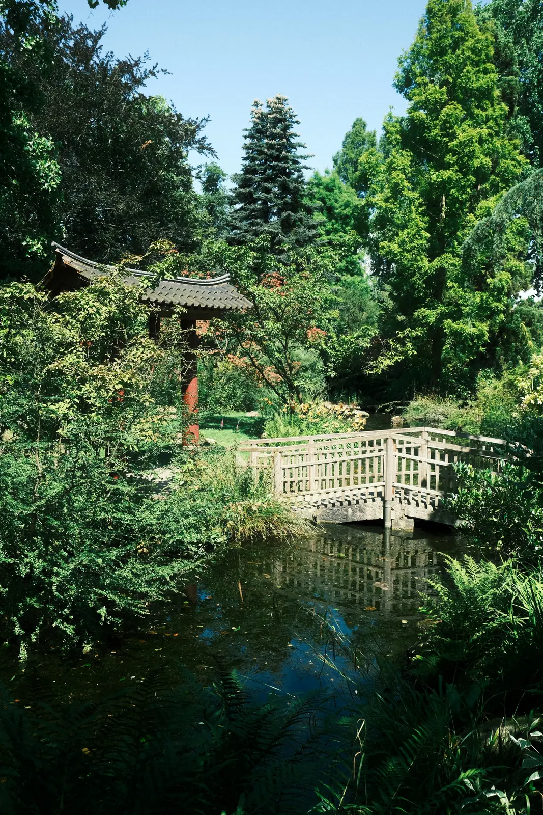 Holzbrücke und Pagodentor im Japanischen Garten Leverkusen.