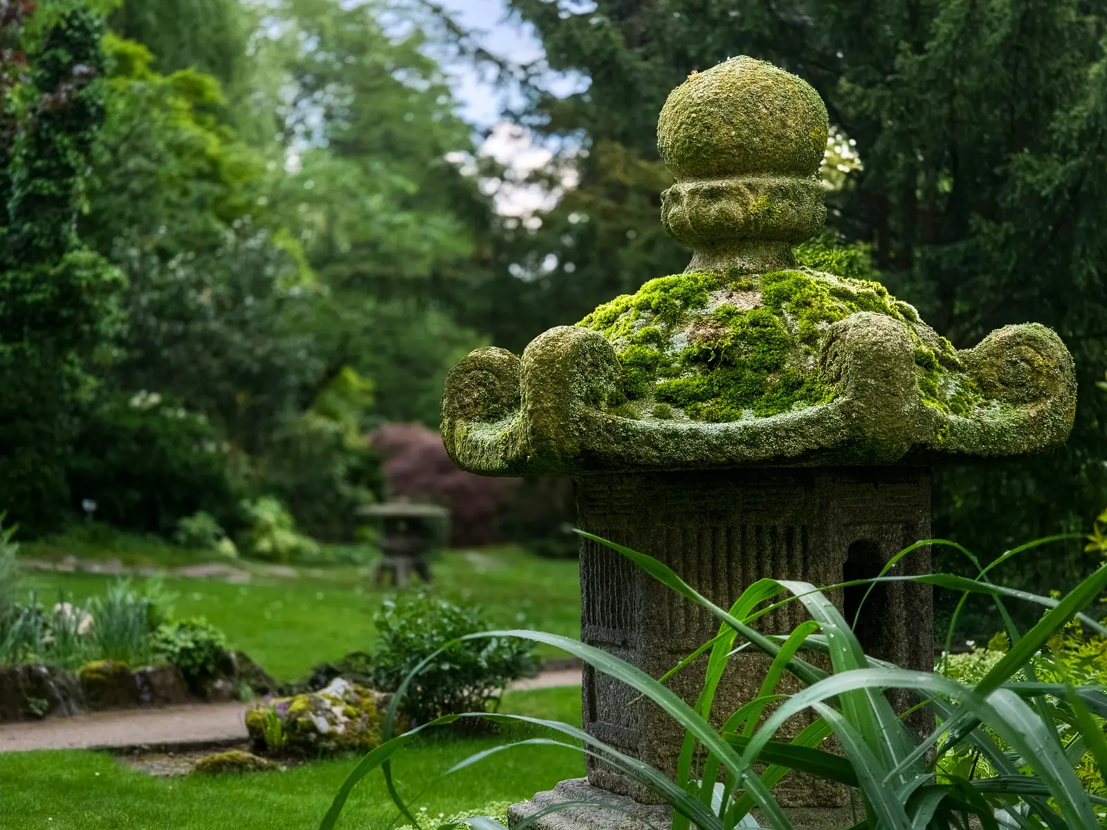 Bemooste Steinlaterne im Japanischen Garten Leverkusen.