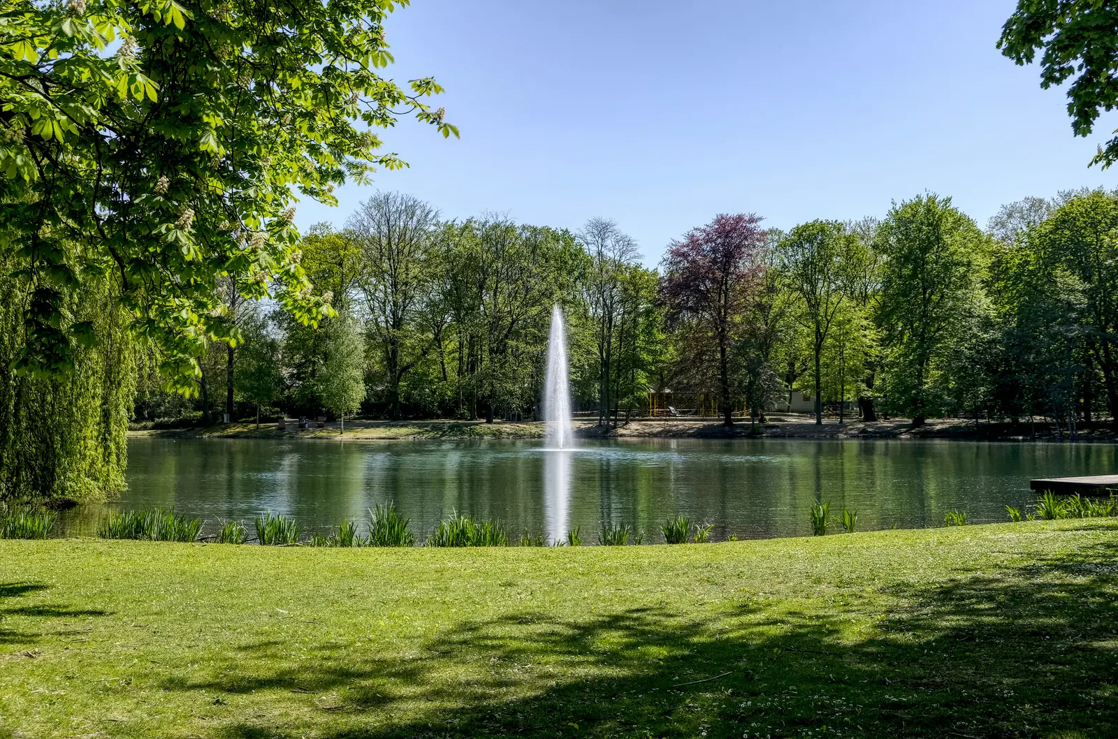 Teich mit hoher Fontäne im Kaisergarten Oberhausen im Sommer.