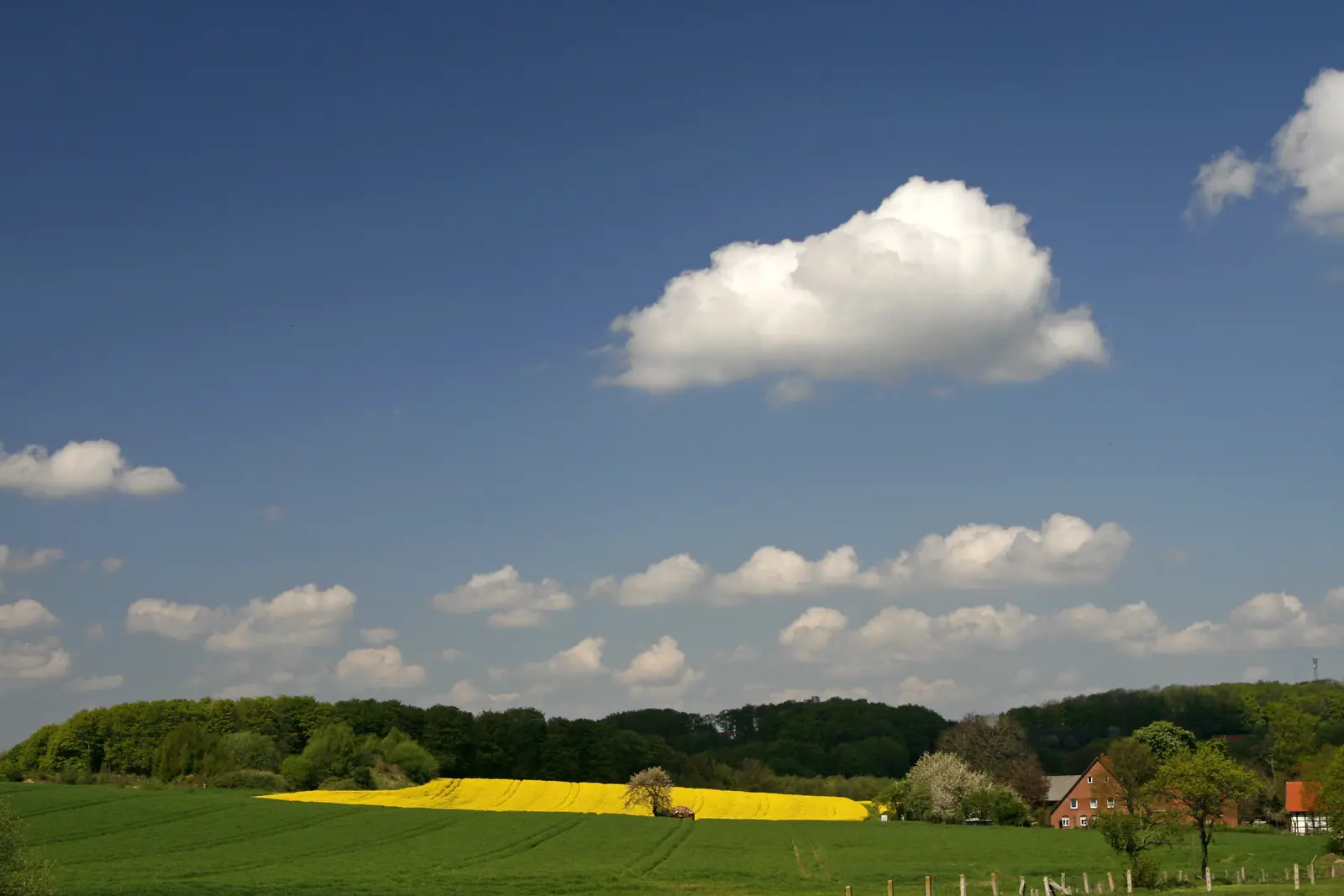 Ländliche Landschaft am Stadtrand von Hagen mit blühendem Rapsfeld und Bauernhof.
