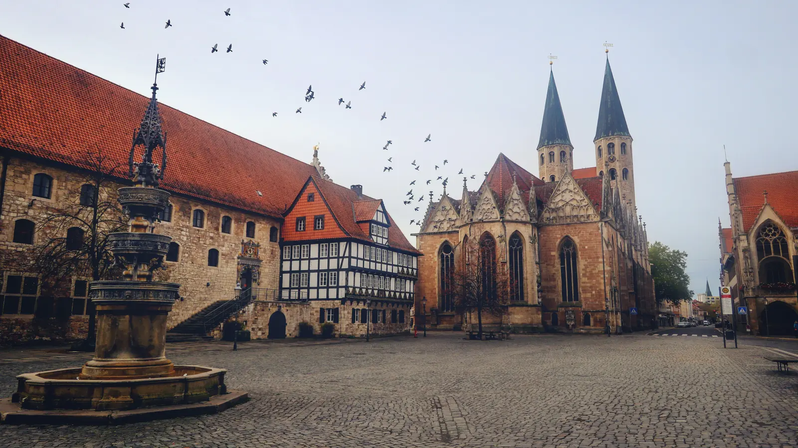 Vogelschwarm über dem Altstadtmarkt in Braunschweig mit Martinikirche und Fachwerkhaus.
