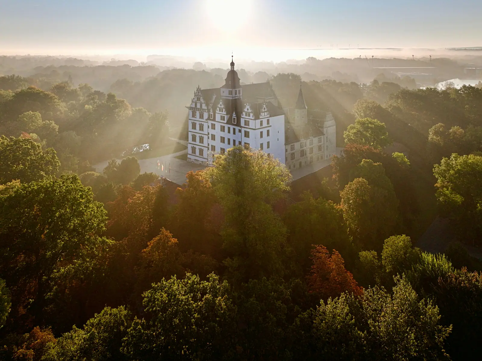 Schloss Wolfsburg im Morgennebel über den herbstlichen Baumkronen.
