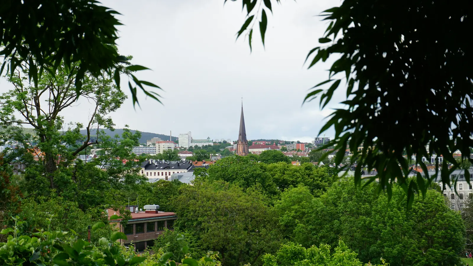 Blick über Baumkronen auf eine Stadt mit schlankem Kirchturm.