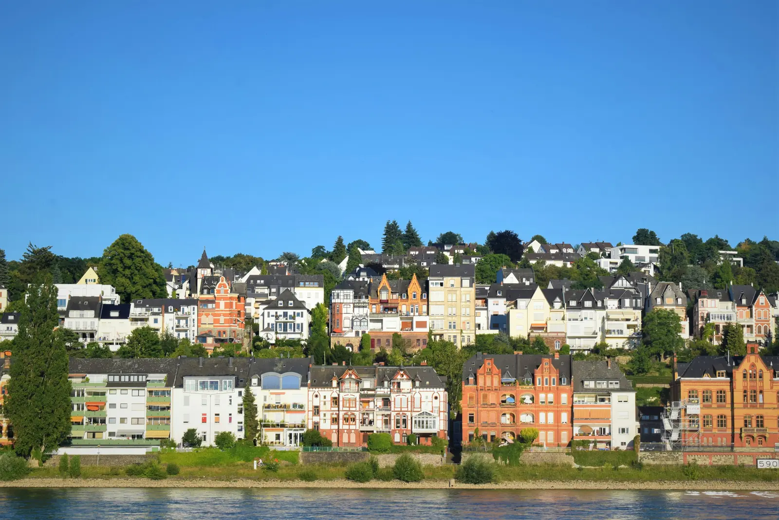 Villen und Gründerzeithäuser am bewaldeten Rheinufer in Koblenz.