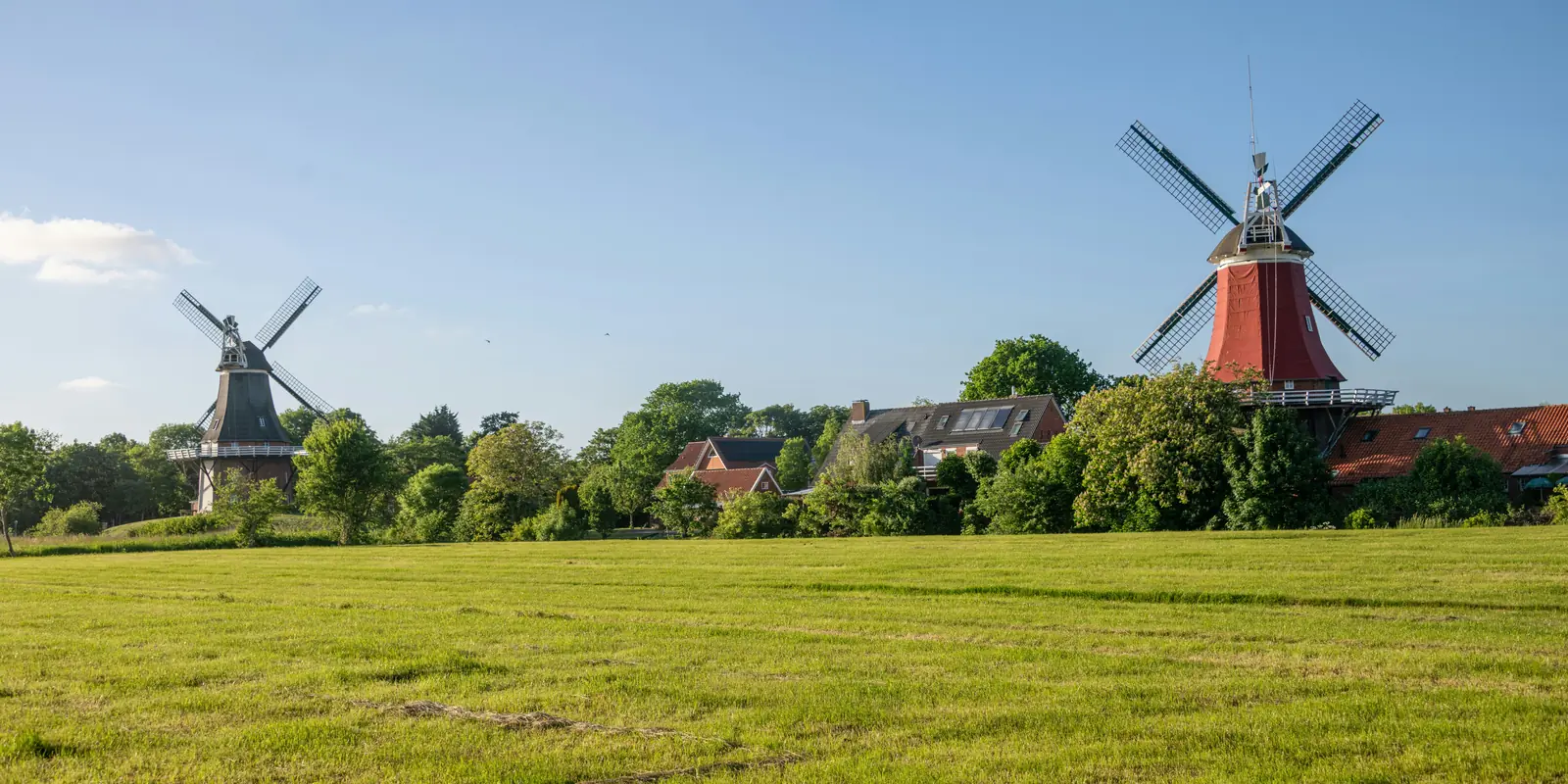 Greetsieler Zwillingsmühlen in Ostfriesland auf einer grünen Wiese.