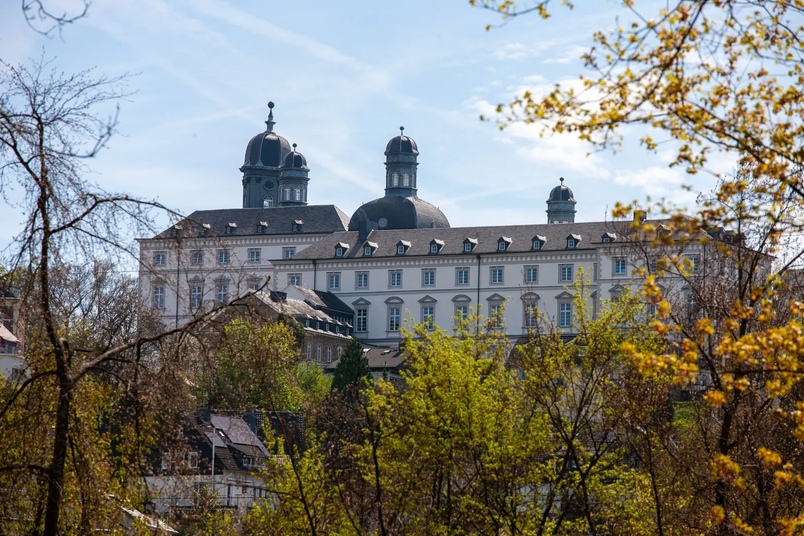 Betriebsmittelprüfung und Leiter- und Trittprüfung in Bergisch Gladbach: Schloss Bensberg über den Baumwipfeln.