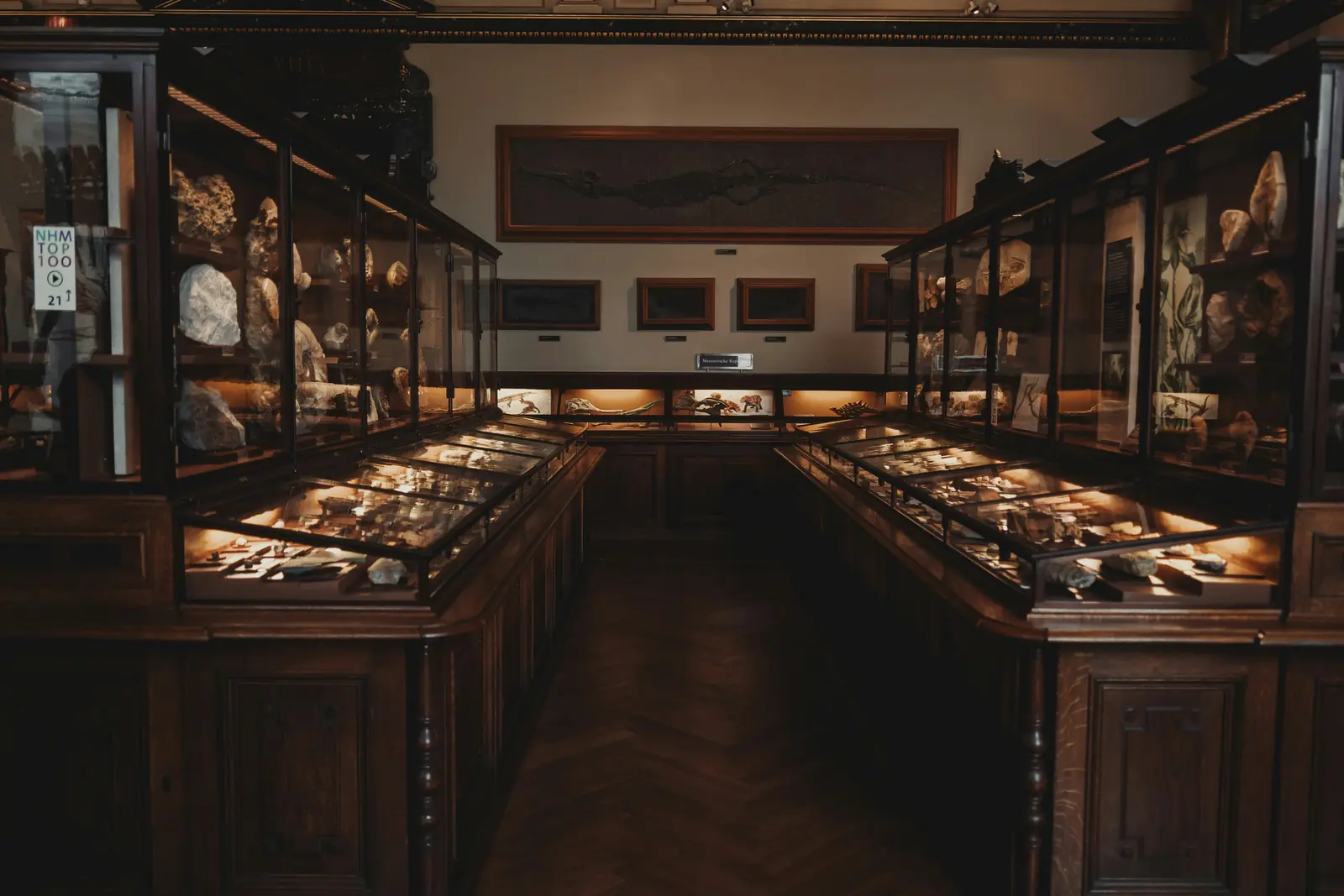 Betriebsmittelprüfung im Museum: Beleuchtete Vitrinen im historischen Ausstellungssaal.