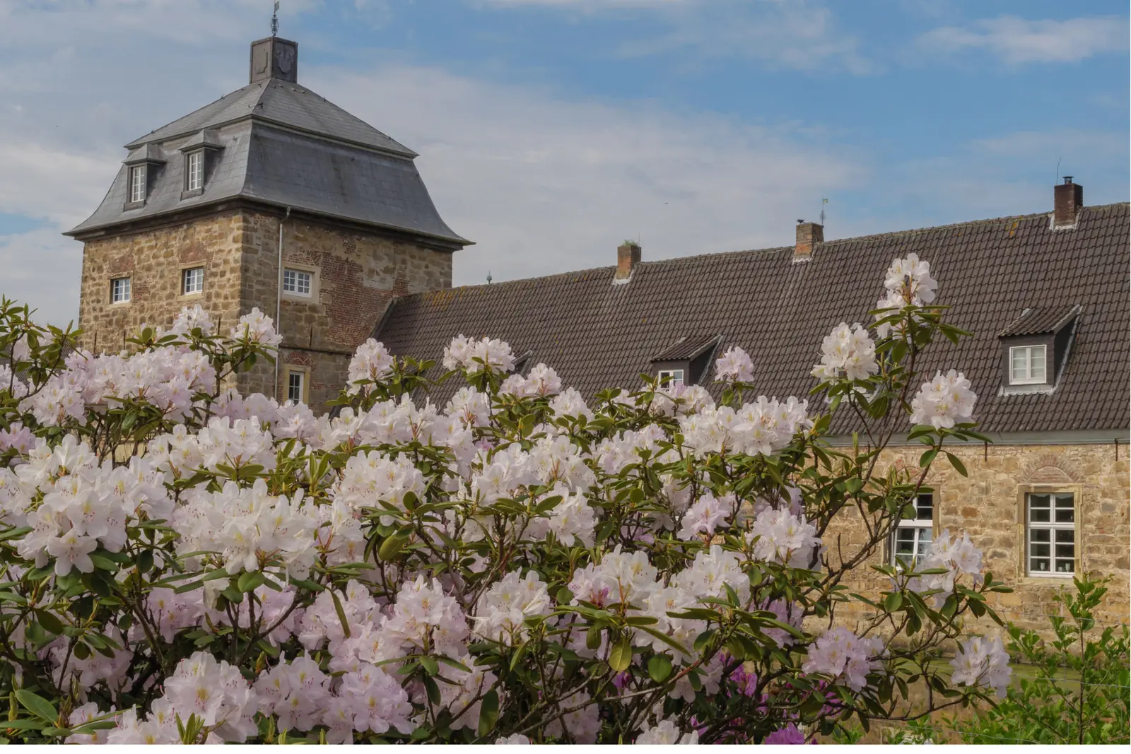 Betriebsmittelprüfung und Leiter- und Trittprüfung in Dorsten: Schlossturm hinter blühenden Rhododendren.