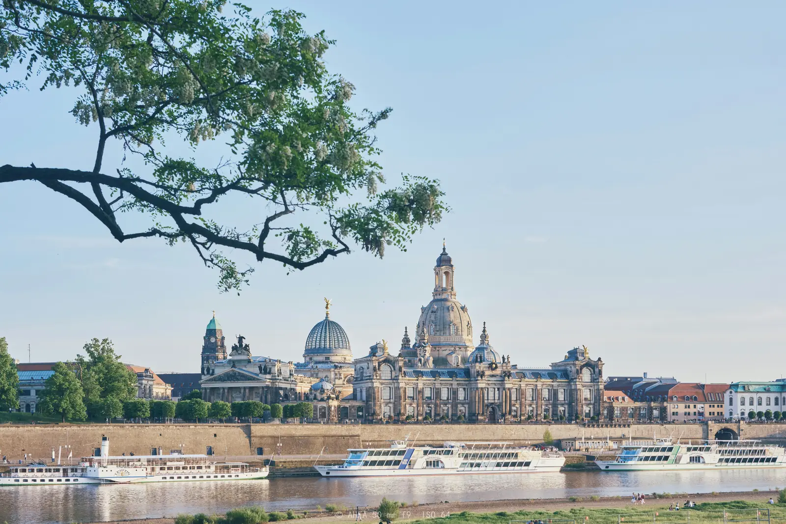 Betriebsmittelprüfung und Leiter- und Trittprüfung in Dresden: Altstadtterrasse über der Elbe mit Ausflugsschiffen.