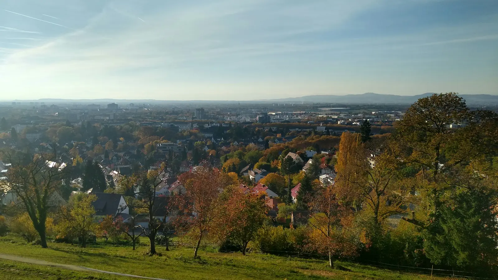 Betriebsmittelprüfung und Leiter- und Trittprüfung in Freiburg: Blick vom Hang über Wohngebiete im Herbst.