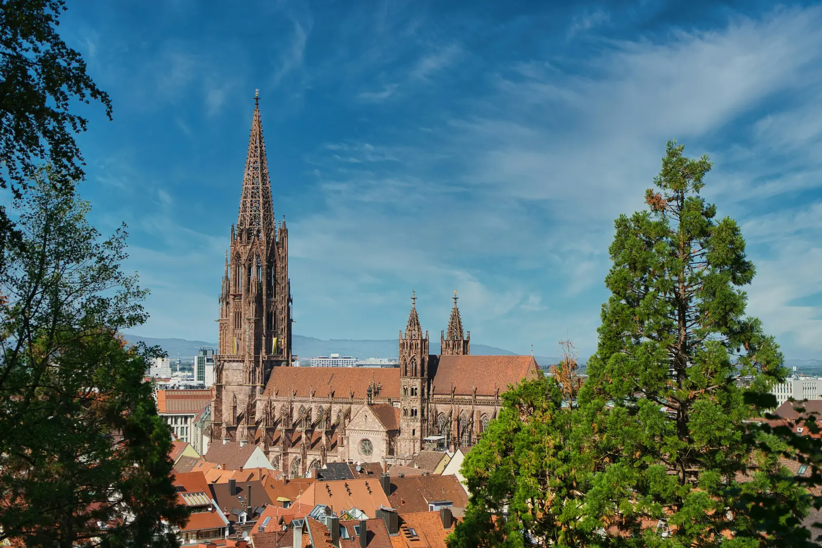 Betriebsmittelprüfung und Leiter- und Trittprüfung in Freiburg: Münster mit filigranem Turmhelm über den Dächern.