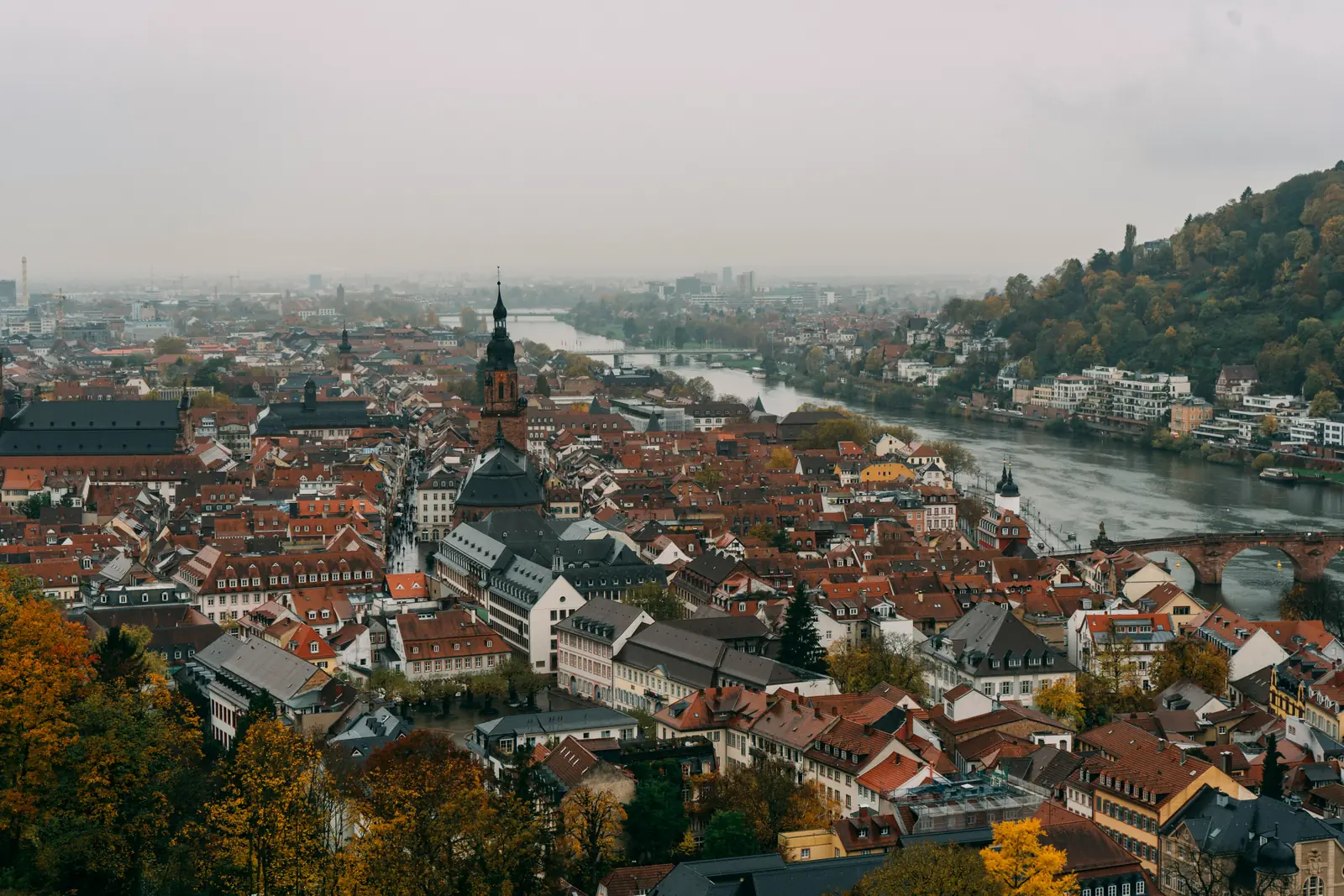 Betriebsmittelprüfung und Leiter- und Trittprüfung in Heidelberg: Blick über Altstadtdächer und Fluss.