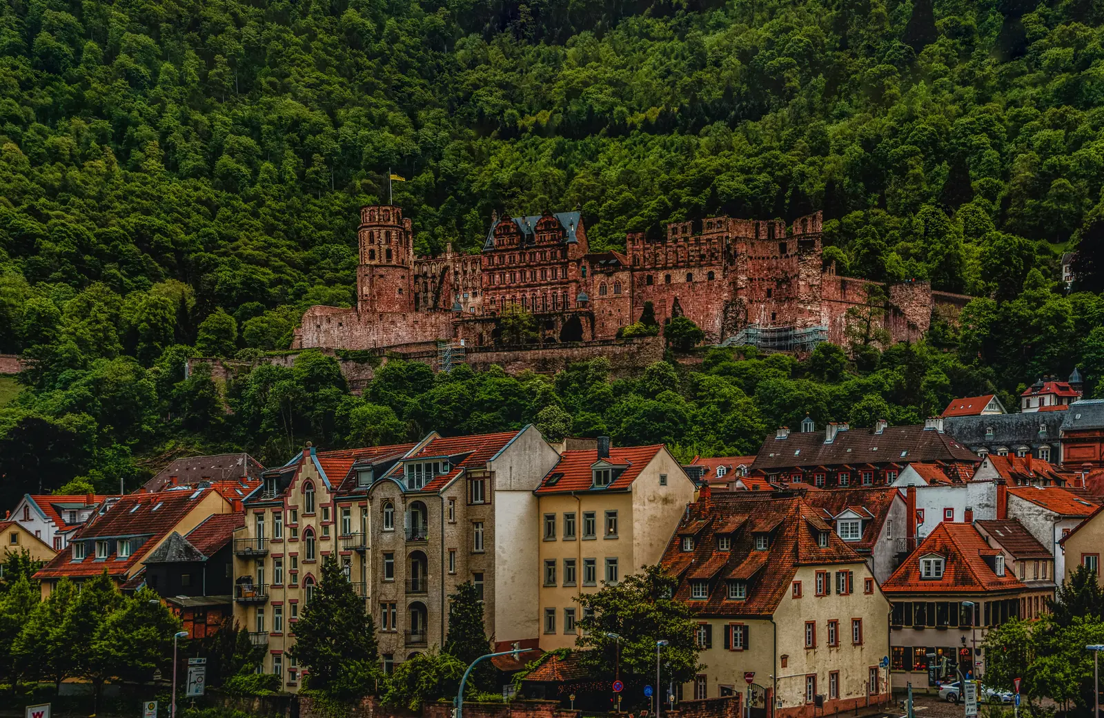 Betriebsmittelprüfung und Leiter- und Trittprüfung in Heidelberg: Schlossruine über den Dächern am Hang.