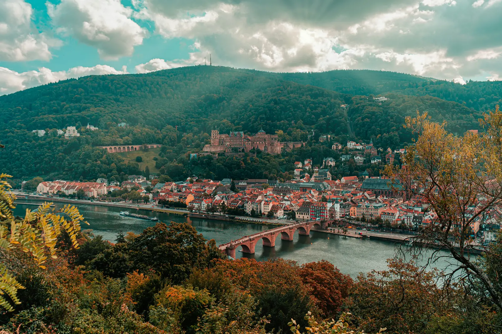 Betriebsmittelprüfung und Leiter- und Trittprüfung in Heidelberg: Talblick mit Brücke und bewaldeten Hängen.
