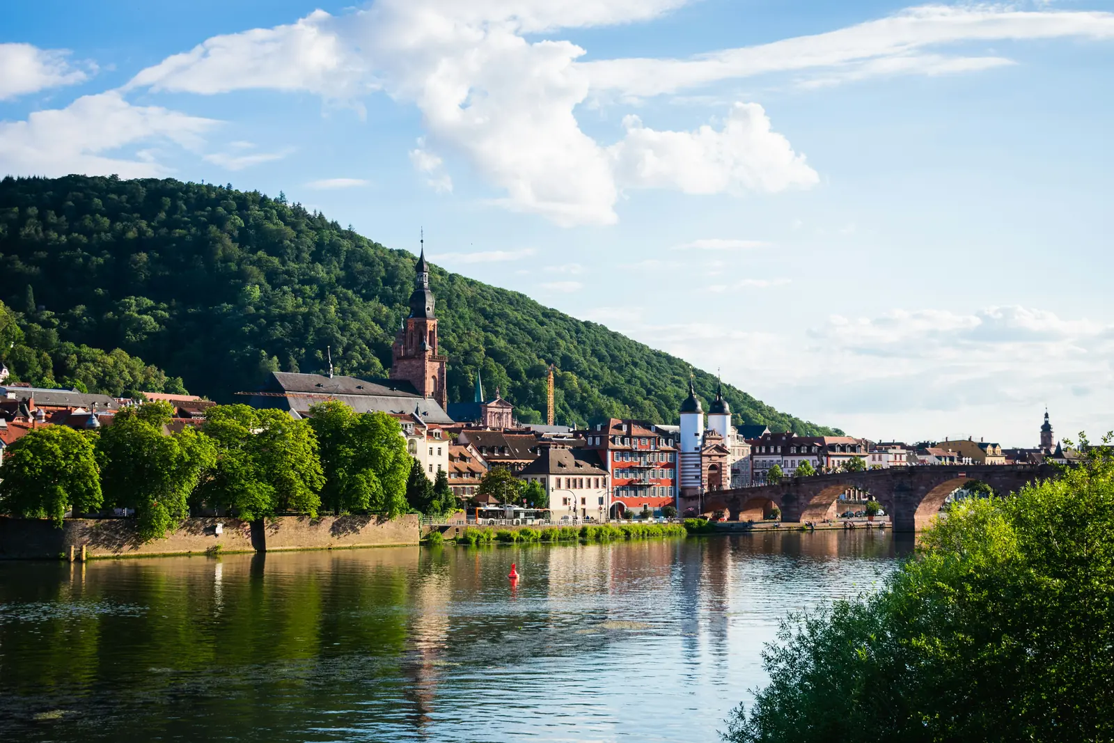 Betriebsmittelprüfung und Leiter- und Trittprüfung in Heidelberg: Uferzeile mit Kirchturm am Fluss.