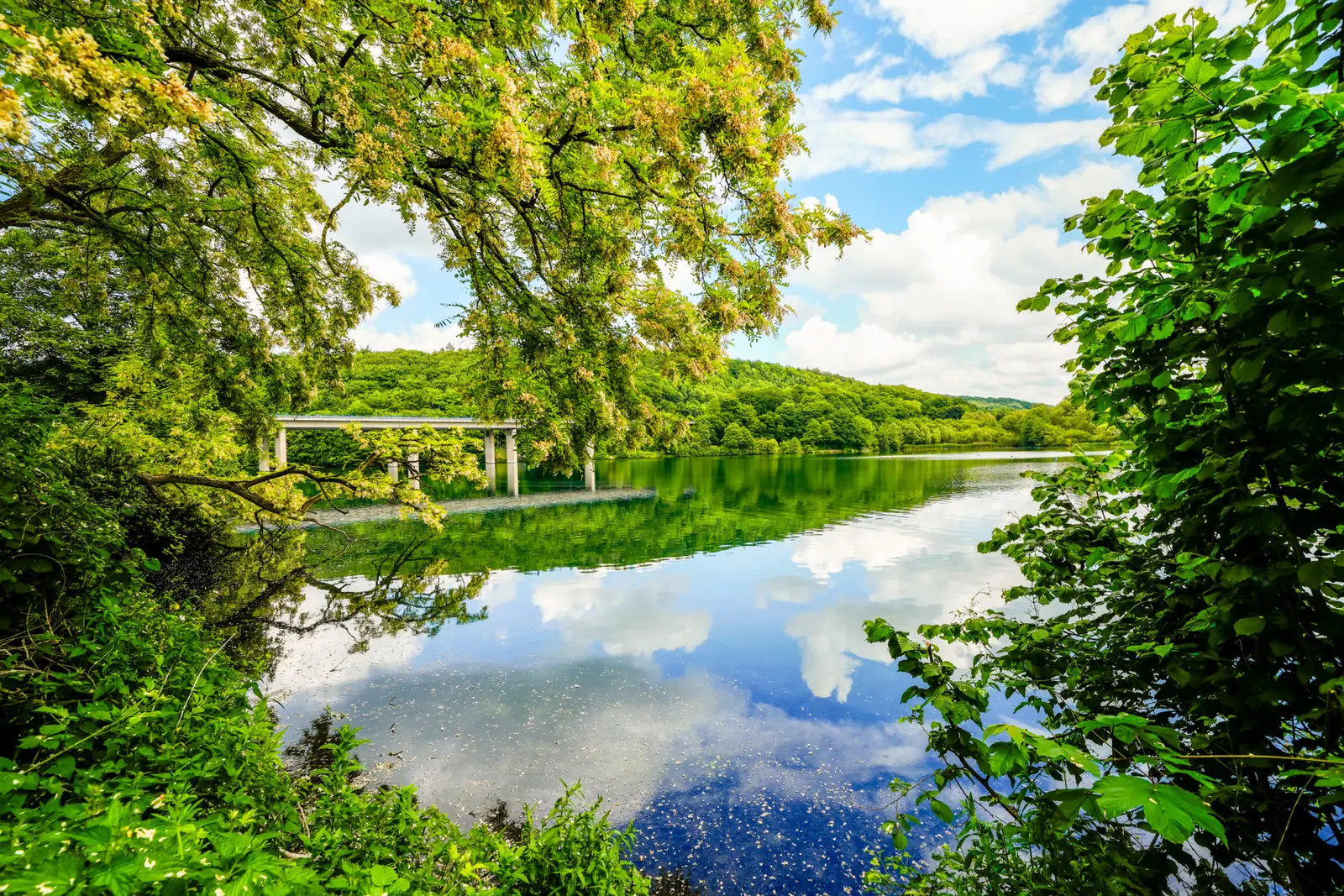 Betriebsmittelprüfung und Leiter- und Trittprüfung in Iserlohn: Stausee mit Steg und bewaldetem Ufer.