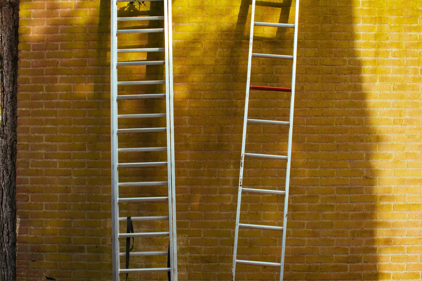 Leiter- und Trittprüfung in Bergisch Gladbach: Zwei Aluminiumleitern an einer Backsteinwand.