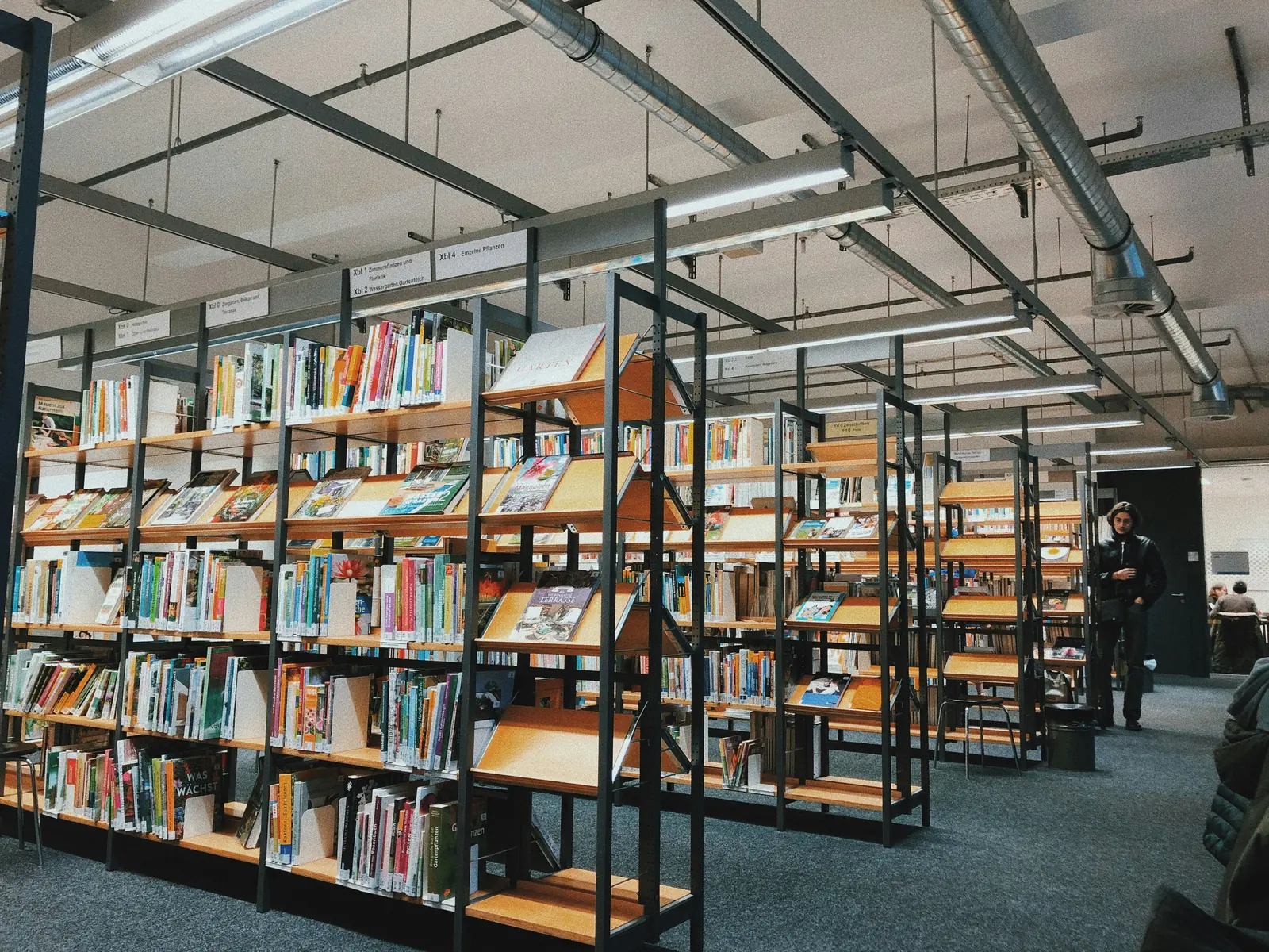 Leiter- und Trittprüfung beim Bildungsträger: Hohe Bücherregale unter Lichtbändern.