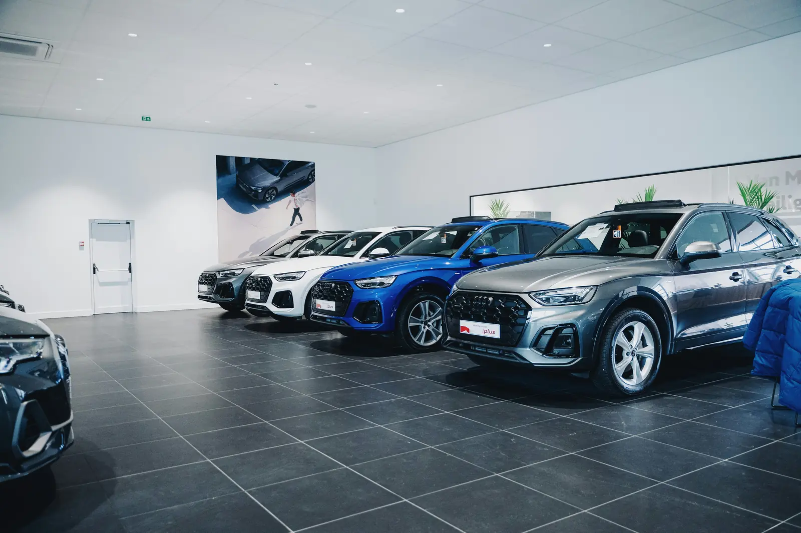 Betriebsmittelprüfung und Leiter- und Trittprüfung im Autohaus: Mehrere Neuwagen in der hohen Ausstellungshalle.