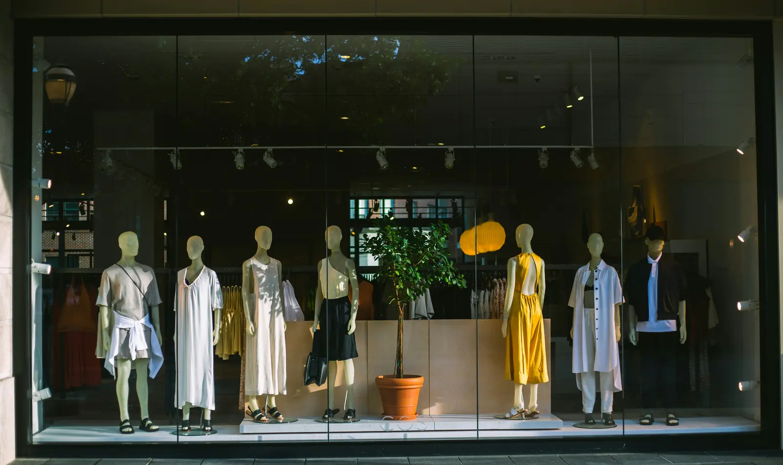 Betriebsmittelprüfung und Leiter- und Trittprüfung im Filialunternehmen: Schaufenster mit Strahlern und Dekoration.