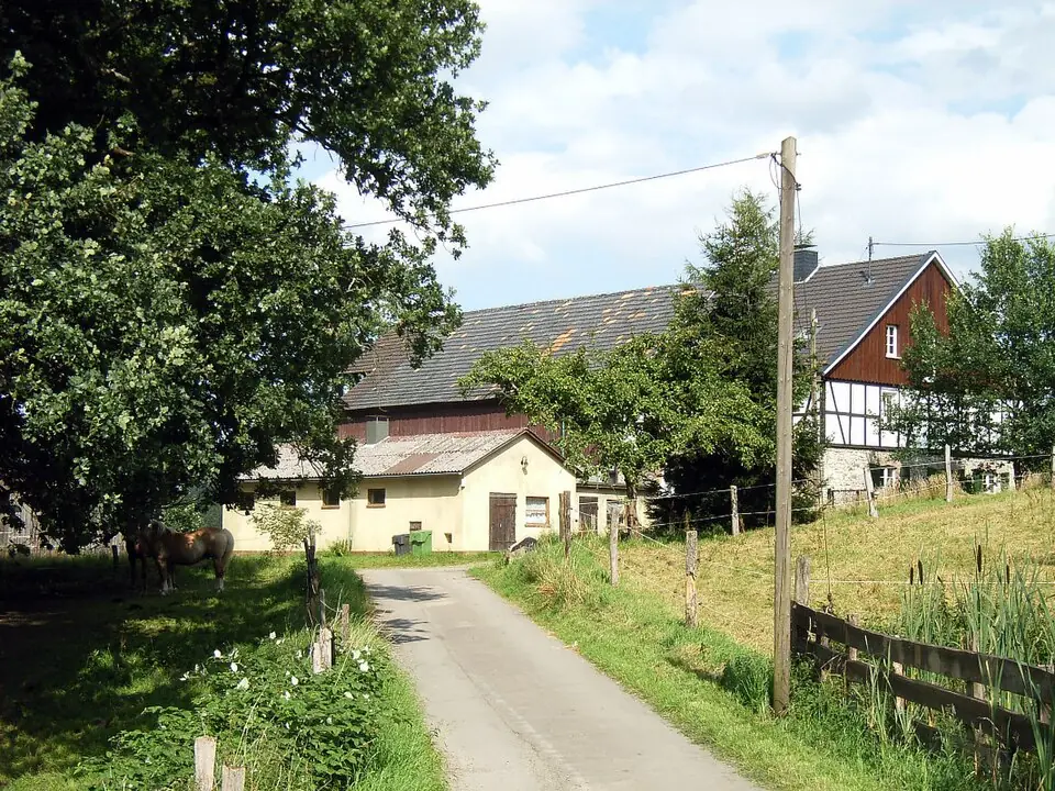 Betriebsmittelprüfung und Leiter- und Trittprüfung in Recklinghausen: Hofstelle am Feldweg mit Pferd.