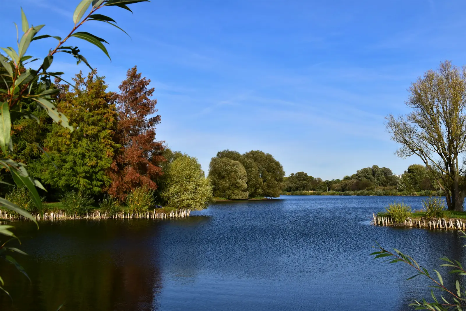 Betriebsmittelprüfung und Leiter- und Trittprüfung in Salzgitter: See mit Ufergehölz im Herbst.