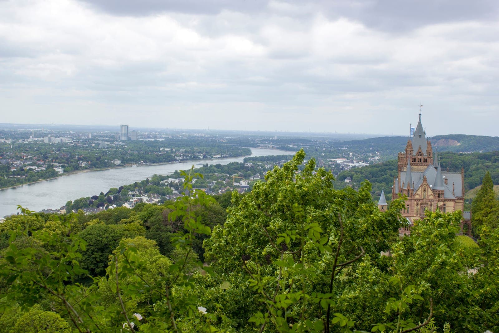 Blick auf eine Burg, die teilweise von Bäumen verdeckt wird und unter einem bewölkten Himmel auf einen gewundenen Fluss und eine ferne Stadtlandschaft blickt.